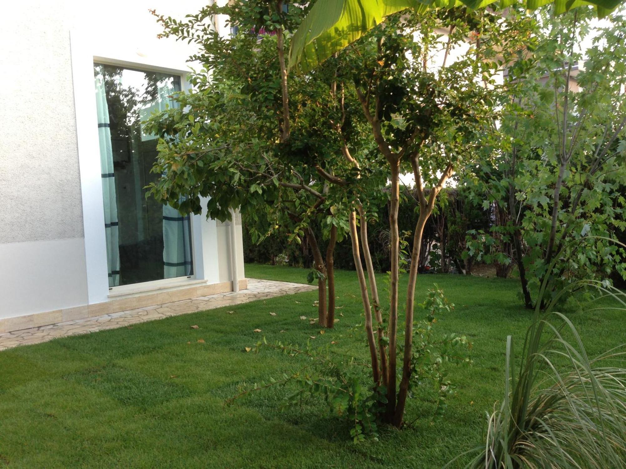 Loft 3, A 150 M Dal Mare, Pineto Centro Appartement Buitenkant foto