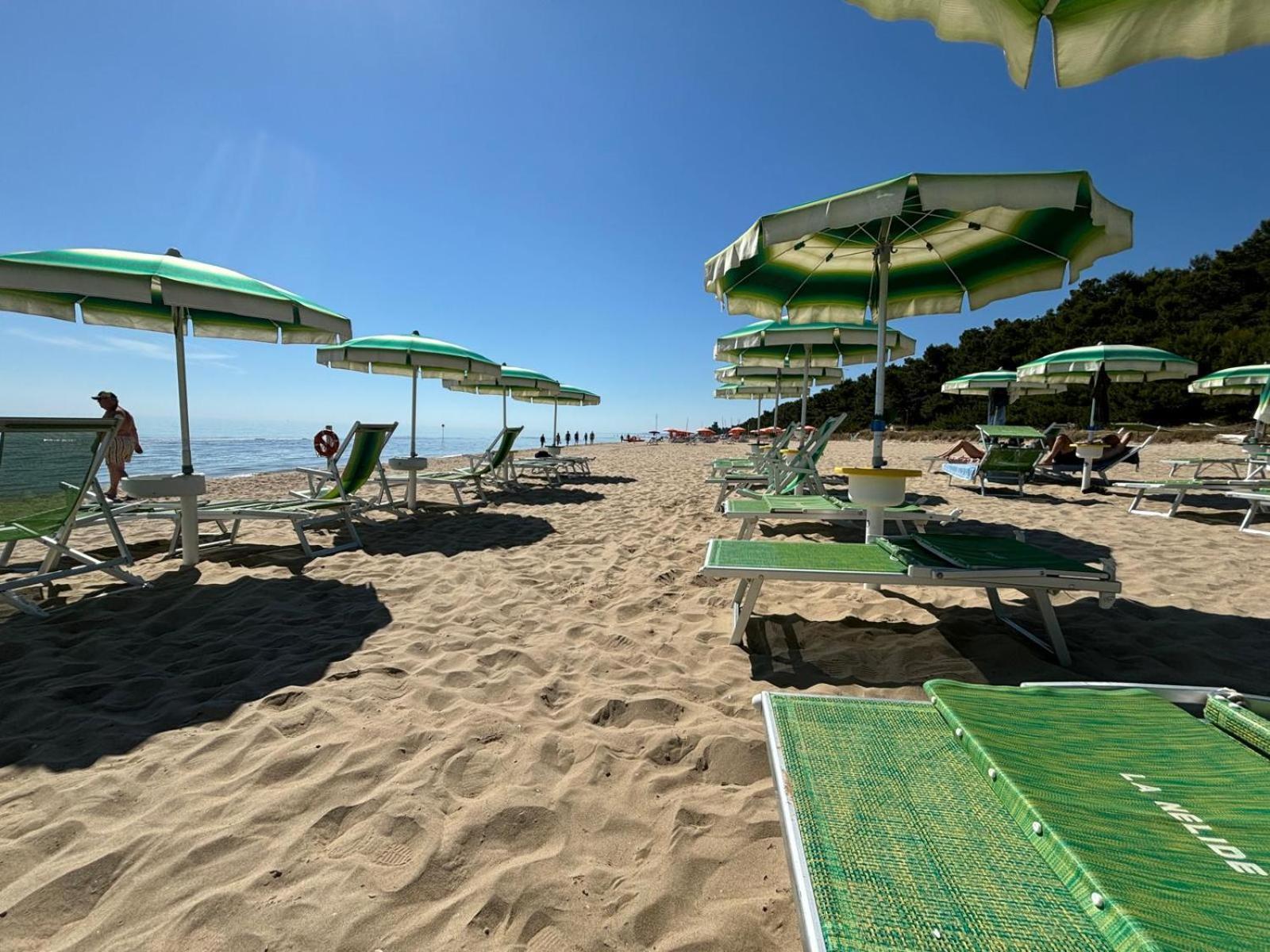 Loft 3, A 150 M Dal Mare, Pineto Centro Appartement Buitenkant foto